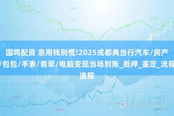 国鸣配资 急用钱别慌!2025成都典当行汽车/房产/包包/手表/翡翠/电脑变现当场到账_抵押_鉴定_流程