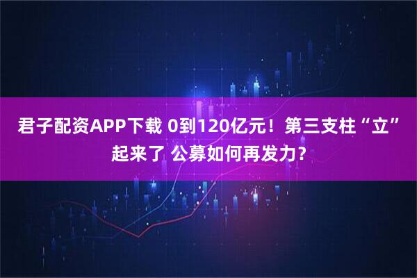 君子配资APP下载 0到120亿元!第三支柱“立”起来了 公募如何再发力?