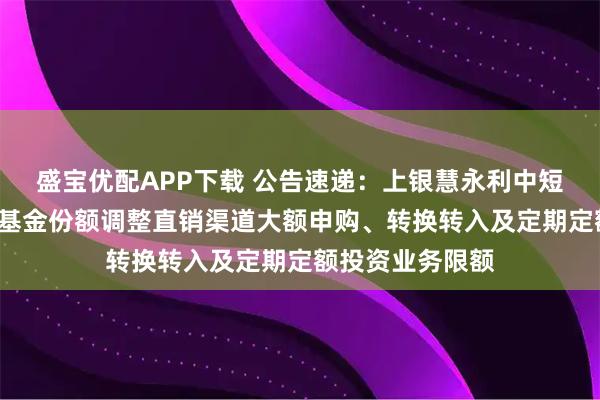 盛宝优配APP下载 公告速递:上银慧永利中短期债券基金C类基金份额调整直销渠道大额申购、转换转入及定期定额投资业务限额