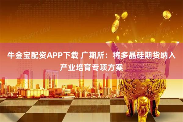 牛金宝配资APP下载 广期所:将多晶硅期货纳入产业培育专项方案